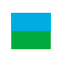 Virgin Nigeria Airways logo